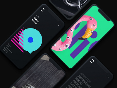 Digibrand website teaser branding design interaction interface landing latvia logo riga ui user ux web