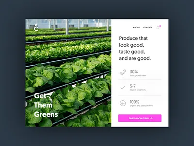 Urban Farm Landing Page daily ui 003 landing page urban farm