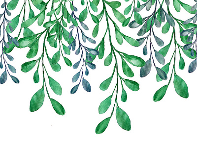Collection of beautiful watercolor decorations and patterns branch decoration invitation leaf leaves pattern watercolor watercolor art waterfall
