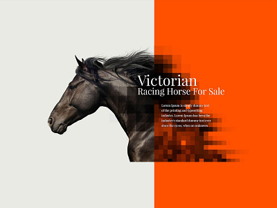 Darren Freyer Racing - Web Design branding graphic design identity illustration illustrator typography web