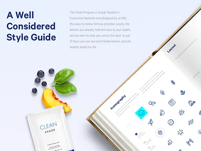 Clean Project custom images design iconography responsive ux web design web dev website
