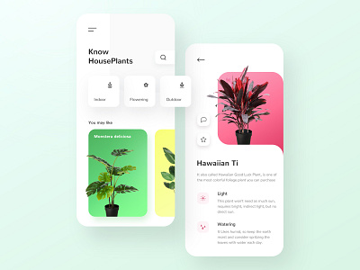 Houseplant app app blog design flower houseplant icon ui ui design user interface ux