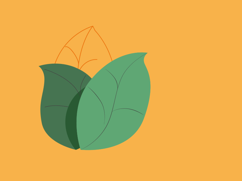 Hide And Seek after effect after effects animation aftereffect animation character character illustration characterdesign cute design hide and seek illustration little boy logo animation motion animation vector