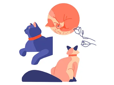 cats animal cat character illustration procreateapp