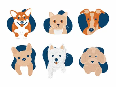 Pets cat cats corgi dog dogs french bulldog frenchie greyhound pet pets poodle westie