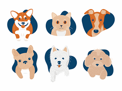 Pets cat cats corgi dog dogs french bulldog frenchie greyhound pet pets poodle westie