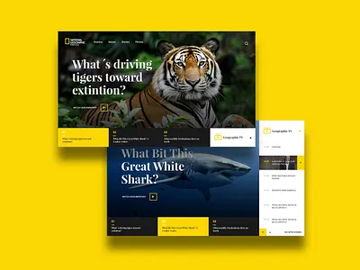 National Geographic TV animation app art clean design flat minimal mobile responsive ui ux web website