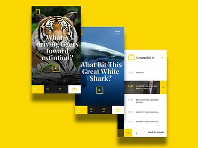 National Geographic TV Mobile animation app art clean design flat minimal mobile responsive ui ux web website