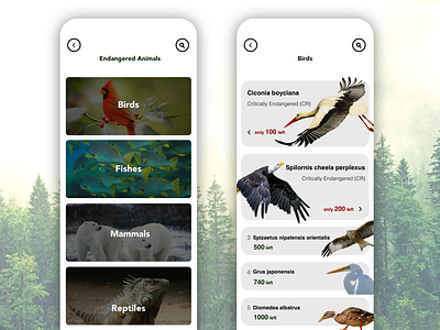 leaderboard_UI animal beginner daily daily 100 challenge dailyui endangered species