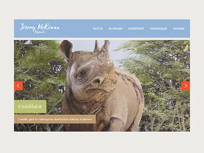 Jeremy Mckenna Website Ui africa african artwork color color palette colour colour palette painting paintings palette safari swatch ui ui ux ui design uidesign uiux web web design website