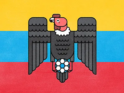 Ecuador 2019 animal bird condor copa america design ecuador flat football illustration minimal monoline soccer vector vulture