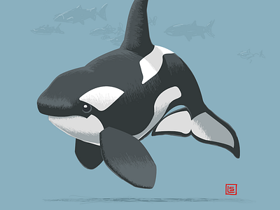 Screen Shot 1.00.26 Pm affinitydesigner cartoon critique feedbackplease hand drawn illustration ipad pro killer whale ocean orca sketch toon whale