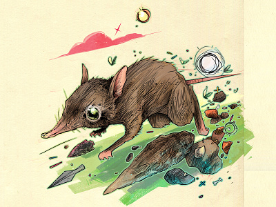Sengi illustration sketch