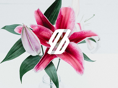 QB Monogram Preview brand branding brandmark design forsale graphicdesign icon identity initial letter logo logoforsale logogram logomark logotype mark monogram monogram logo sale symbol