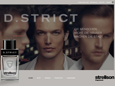 04 D Strict identity branding website