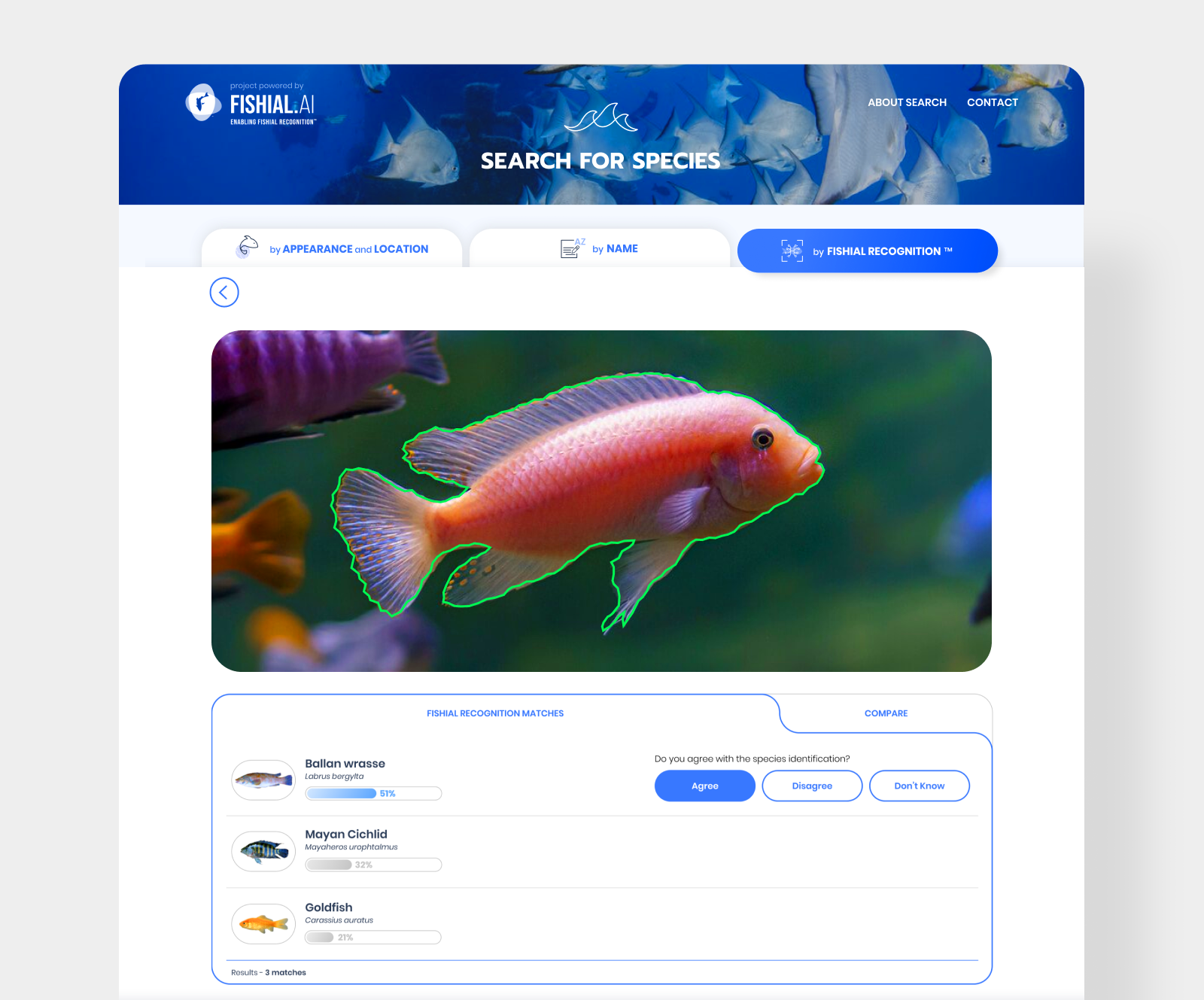 Search for Species - Web app for fish identification. 🌊🐬 🐳 ai artificial intelligence branding codahead database destop digital product interaction design interface machine learning mobile online responsive science ui ui design ux ux design visual creation wireframe