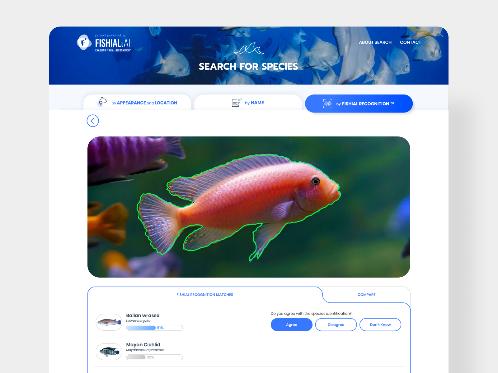 GitHub - alexmdac/stockfish-web: Simple web UI for the Stockfish