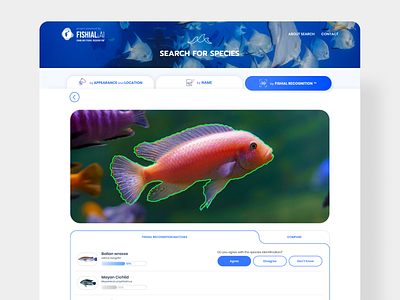 Search for Species - Web app for fish identification. 🌊🐬 🐳 ai artificial intelligence branding codahead database destop digital product interaction design interface machine learning mobile online responsive science ui ui design ux ux design visual creation wireframe