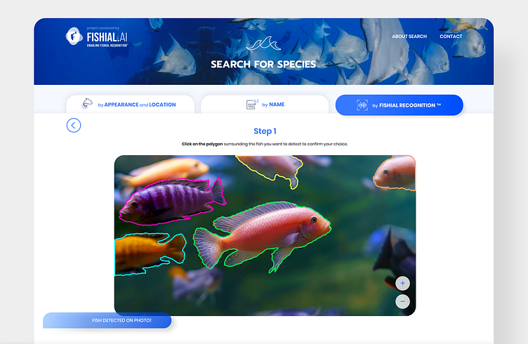 Search for Species - Web app for fish identification. 🌊🐬 🐳 by