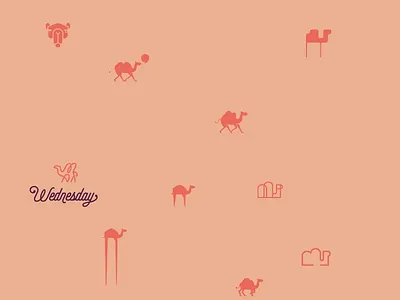 An Abundance of Camels camel camels