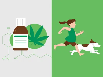 CBD Oil cannabidiol cannabis child dog health medicine university of utah utah