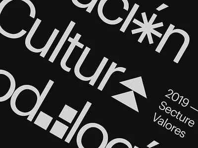 Secture 2019 (WIP) — Values secture typography webdesign website