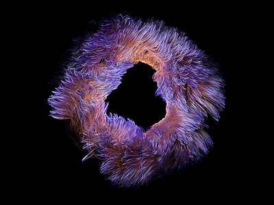 Donut 3d
