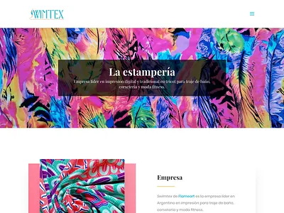 Swimtex web design wordpress