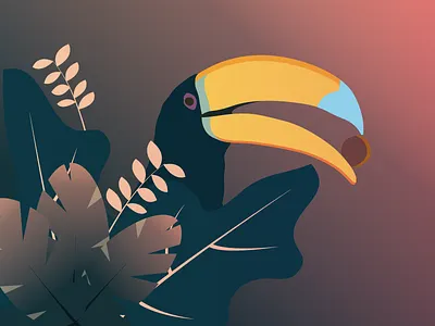Toucan design flat illustration toucan