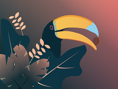 Toucan design flat illustration toucan