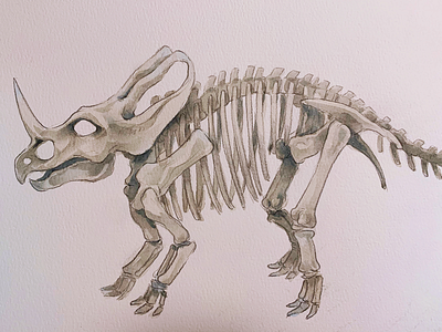 Monoclonius crassus fossils water color