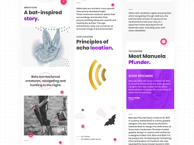 Echo website art direction banknote design mobile ui website