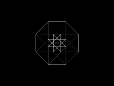 hypercat branding data icon identity illustration logo