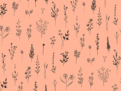 Summer Wildflowers black botanic design drawing floral flowers illustration leaves pattern pink