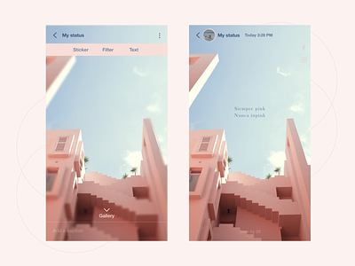 Messaging app 15 - Status 3 app app design button design flat helvetica neue icon interaction design mobile app pink typography ui ux vector