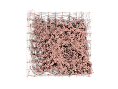 Growth #1 abstract abstract design creative coding design generative art illustration