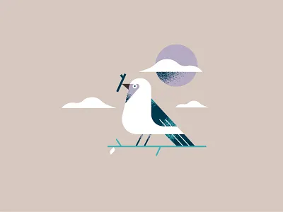 Pigeon animal bird brush character editorial illustration flat geometric icon illustration pigeon shapes texture vector