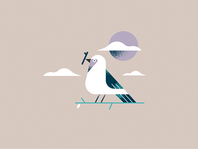 Pigeon animal bird brush character editorial illustration flat geometric icon illustration pigeon shapes texture vector