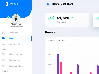 Datum Dashboard dashboad dashboard ui ui ux