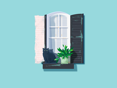 window cat illustrations window