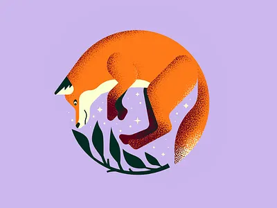 Fox fox illustration
