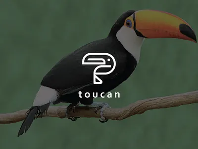 Bird logo design abstatct logo animal bird flatlogo letter logo logo logo design minimal minimalist logo toucan toucanlogo