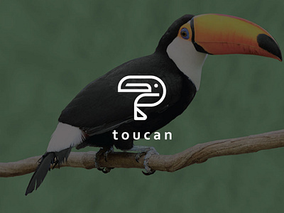 Bird logo design abstatct logo animal bird flatlogo letter logo logo logo design minimal minimalist logo toucan toucanlogo