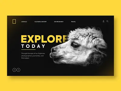 Landing Page - Animals landing landing page landingpage landingpagedesign natgeo web webdesign wildlife