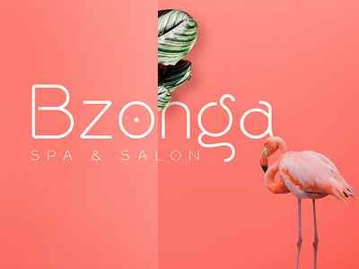 Rollgates Modern Sans Font font type typography