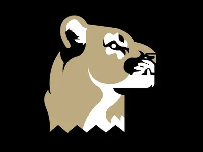 Florida Panther Illustration florida graphic design illustration josh hoye panther