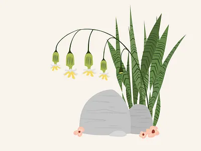 Jungle Series 2 illustration jungle plants