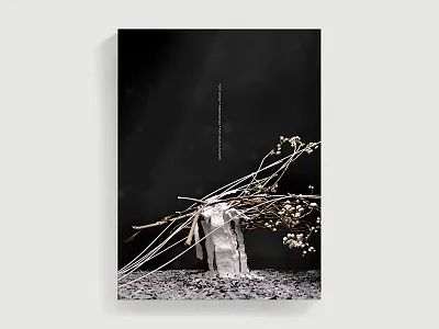 Zen Poster cover cover design high school project illustration installation art poster