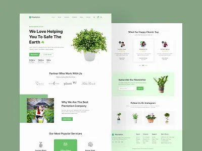 Plantation Landing Page Design Template figma design gardening gardening landing page gardening website design landing page landing page ui plantatation website plantation landing page ui ui design ui ux design web app design web ui website design website landing page website ui design