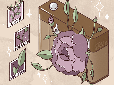 Capture the beauty of life beauty camera flowers gratitude health life love vintage
